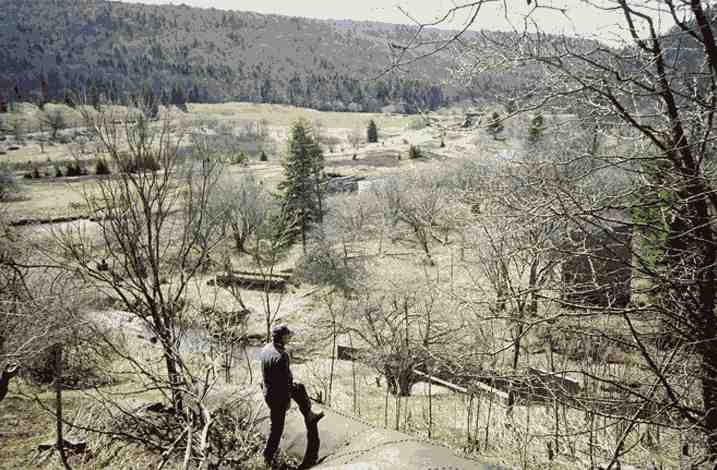 A view of the Spruce townsite in 1994